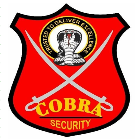 Cobra Security logo